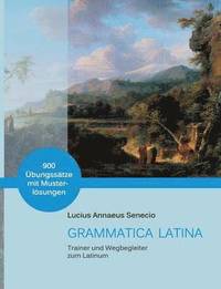bokomslag Lateinische Grammatik kompakt