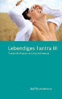 bokomslag Lebendiges Tantra III