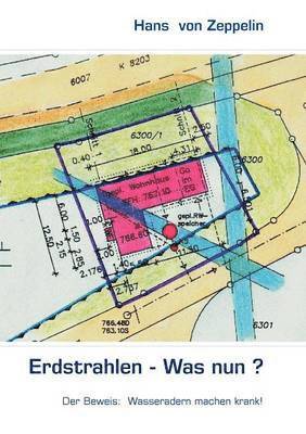 bokomslag Erdstrahlen - Was nun?