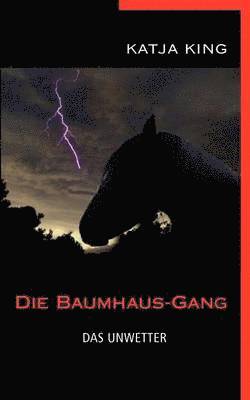 bokomslag Baumhaus-Gang - Das Unwetter