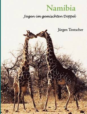 bokomslag Namibia - Jagen im gemischten Doppel
