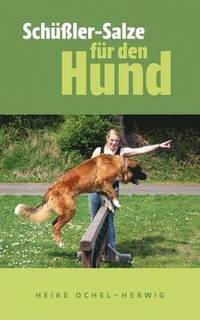 bokomslag Schüßler-Salze für den Hund