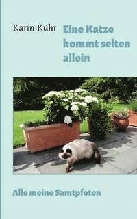 bokomslag Eine Katze kommt selten allein