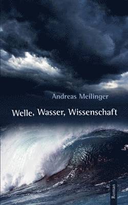 Andreas Meilinger - Welle, Wasser, Wissenschaft, Häftad