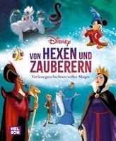 Disney Vorlesebuch: Von Hexen und Zauberern, Inbunden