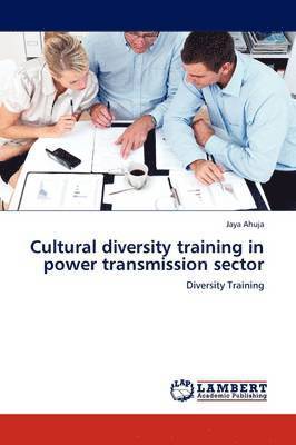 Cultural Diversity Training in Power Transmission Sector 1