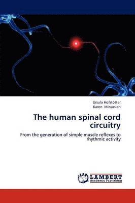 The human spinal cord circuitry 1