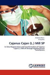 bokomslag Cajanus Cajan (L.) Mill SP