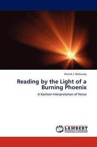 bokomslag Reading by the Light of a Burning Phoenix