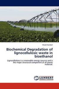 bokomslag Biochemical Degradation of Lignocellulosic Waste in Bioethanol