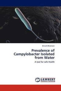 bokomslag Prevalence of Campylobacter Isolated from Water