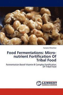 bokomslag Food Fermentations