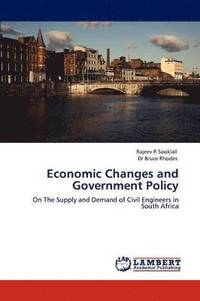 bokomslag Economic Changes and Government Policy
