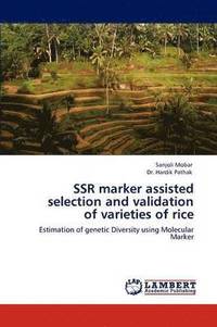 bokomslag Ssr Marker Assisted Selection and Validation of Varieties of Rice
