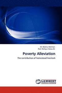 bokomslag Poverty Alleviation