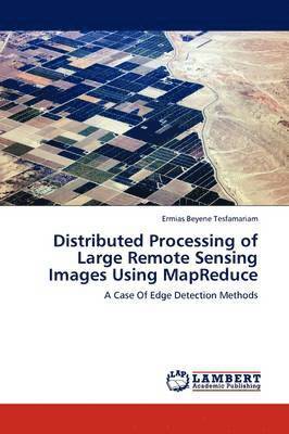 bokomslag Distributed Processing of Large Remote Sensing Images Using Mapreduce