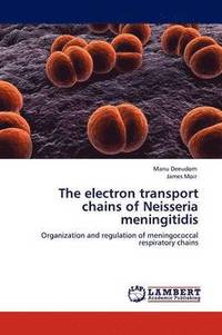 bokomslag The Electron Transport Chains of Neisseria Meningitidis