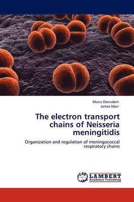 The Electron Transport Chains of Neisseria Meningitidis 1