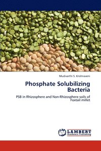 bokomslag Phosphate Solubilizing Bacteria