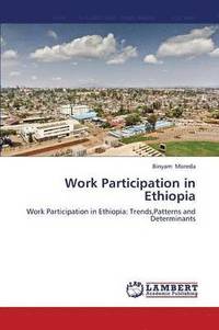 bokomslag Work Participation in Ethiopia