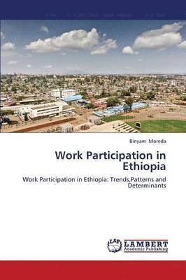 bokomslag Work Participation in Ethiopia
