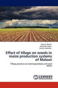 bokomslag Effect of Tillage on Weeds in Maize Production Systems of Malawi