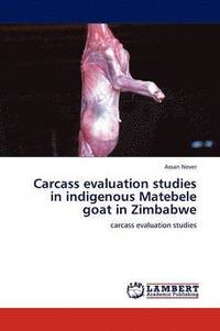 bokomslag Carcass Evaluation Studies in Indigenous Matebele Goat in Zimbabwe