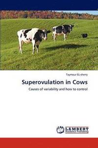 bokomslag Superovulation in Cows