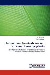 bokomslag Protective chemicals on salt stressed banana plants