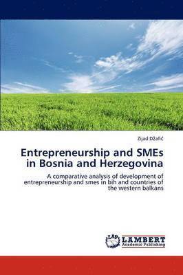 bokomslag Entrepreneurship and Smes in Bosnia and Herzegovina