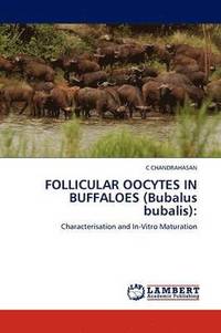 bokomslag FOLLICULAR OOCYTES IN BUFFALOES (Bubalus bubalis)