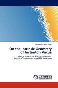 bokomslag On the Intrinsic Geometry of Instanton Vacua