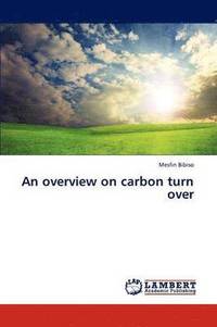 bokomslag An Overview on Carbon Turn Over