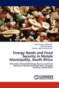 bokomslag Energy Needs and Food Security in Mutale Municipality, South Africa