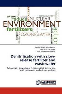 bokomslag Denitrification with Slow-Release Fertilizer and Wastewater