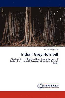 Indian Grey Hornbill 1