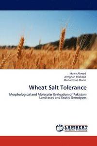 bokomslag Wheat Salt Tolerance