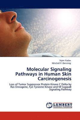 bokomslag Molecular Signaling Pathways in Human Skin Carcinogenesis