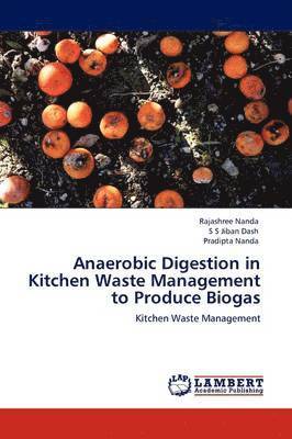 Anaerobic Digestion in Kitchen Waste Management to Produce Biogas 1