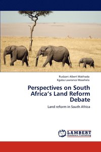 bokomslag Perspectives on South Africa's Land Reform Debate