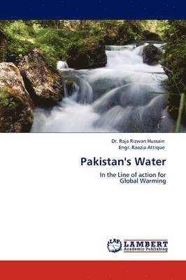 bokomslag Pakistan's Water