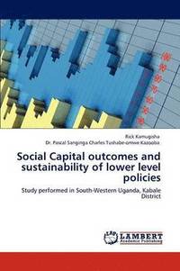 bokomslag Social Capital Outcomes and Sustainability of Lower Level Policies