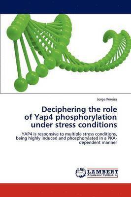 Deciphering the role of Yap4 phosphorylation under stress conditions 1