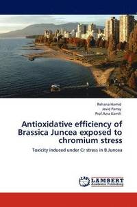 bokomslag Antioxidative efficiency of Brassica Juncea exposed to chromium stress