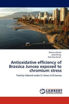 Antioxidative efficiency of Brassica Juncea exposed to chromium stress 1