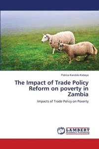 bokomslag The Impact of Trade Policy Reform on poverty in Zambia