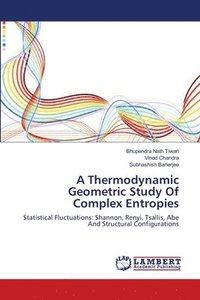 bokomslag A Thermodynamic Geometric Study Of Complex Entropies