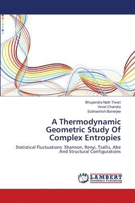 A Thermodynamic Geometric Study Of Complex Entropies 1