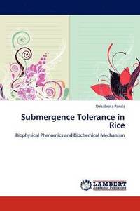 bokomslag Submergence Tolerance in Rice