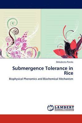 Submergence Tolerance in Rice 1